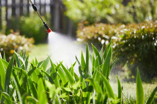 24/7 Emergency Rodent Control experts in East Honolulu, HI