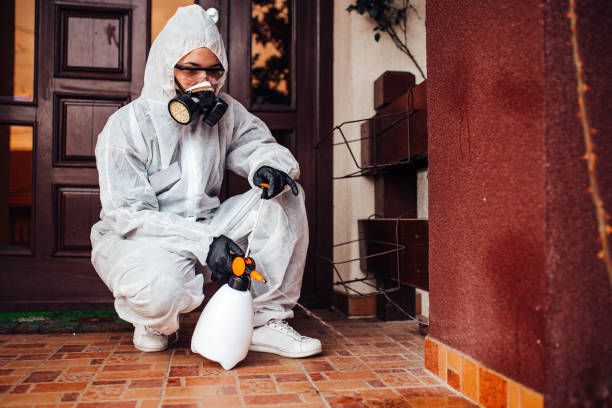 Reliable Rodent Control contractor in East Honolulu, HI by Nex Pest Control
