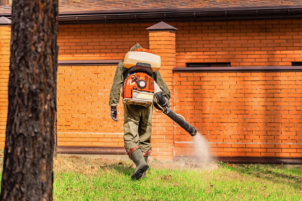Trusted Termite Control service in East Honolulu, HI - Nex Pest Control